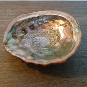 Vintage Large 8" Red Abalone Shell Stunning!